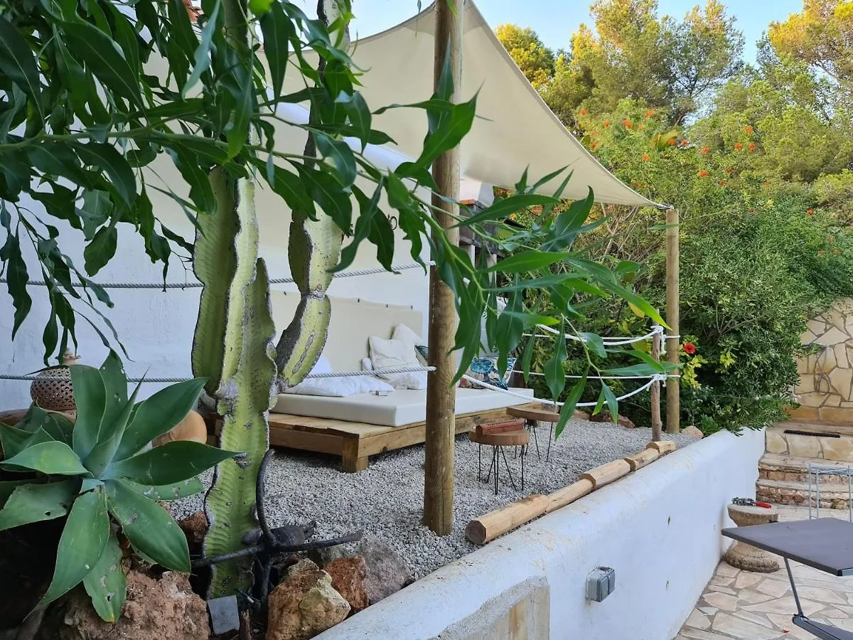 Private Villa Mit Eigenem Pool Unter Palmen Cala Llena Spanien